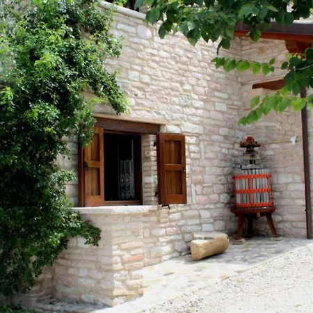 Rustic Holiday home